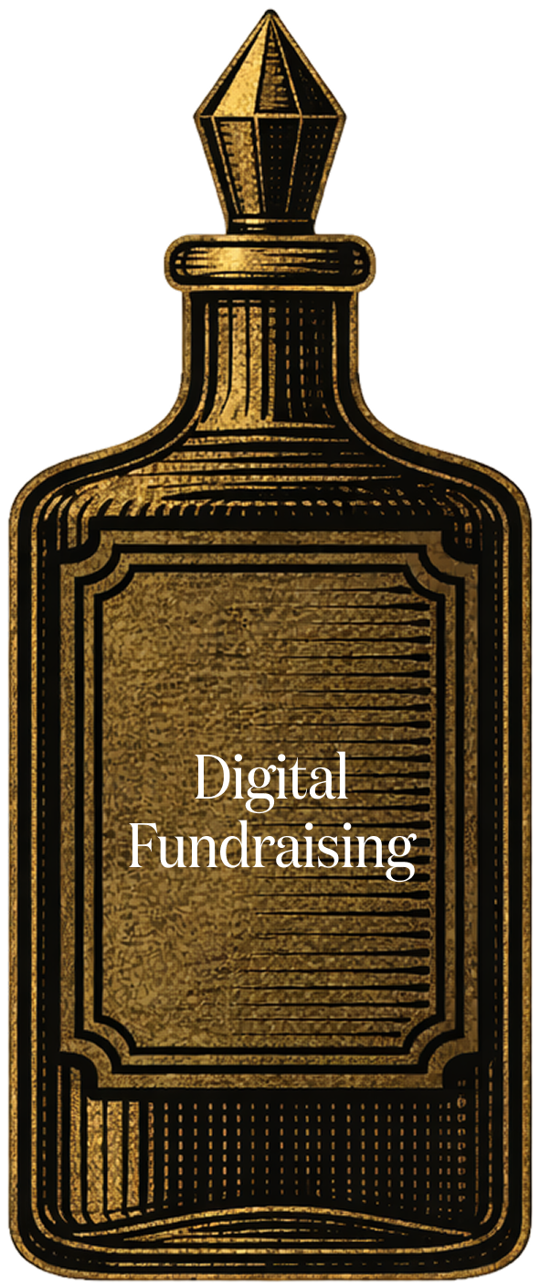 Digital Fundraising